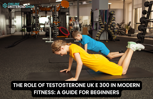THE ROLE OF TESTOSTERONE UK E 300 IN MODERN FITNESS: A GUIDE FOR BEGINNERS